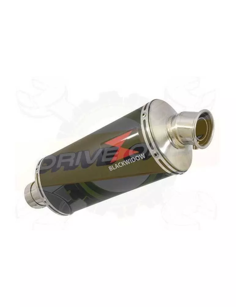 R1150 R ROCKSTER exhaust Silencieux kit & Silencieux Ovale Noir En Inox 300mm