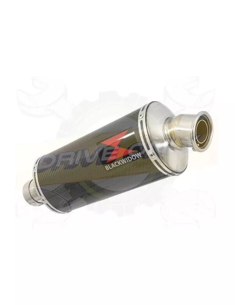 R1150 R ROCKSTER exhaust Silencieux kit & Ovale En Carbone Silencieux 300mm