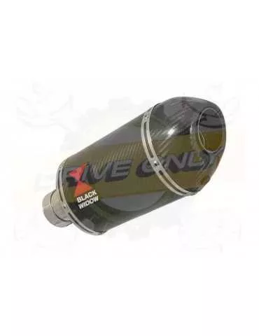 R1150 GS ADVENTURE exhaust tube de raccord et Ovale En Carbone Silencieux + carbon tip 200mm