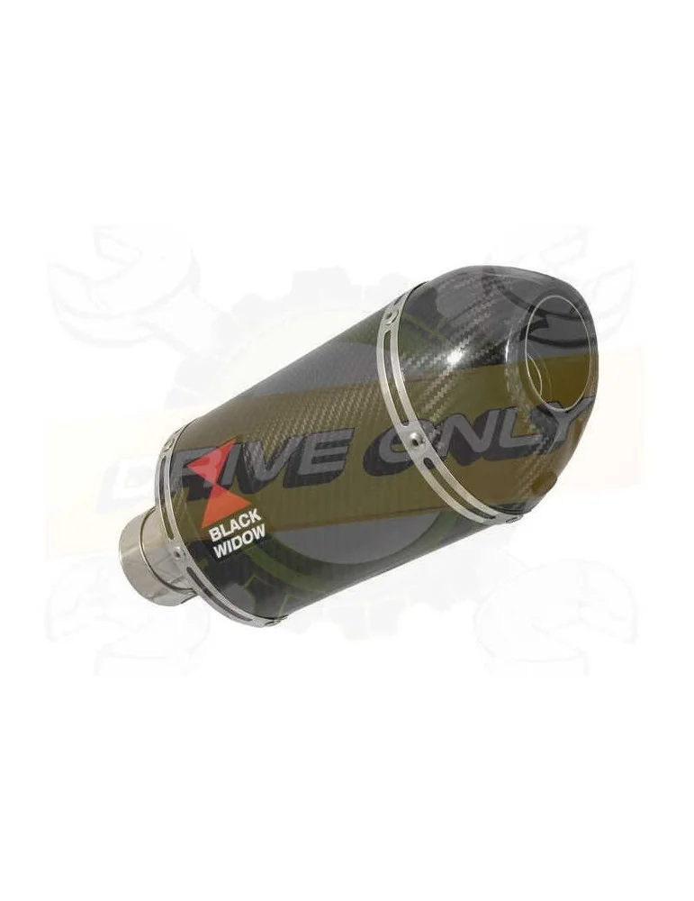 R1150 GS ADVENTURE exhaust tube de raccord et Ovale En Carbone Silencieux + carbon tip 200mm