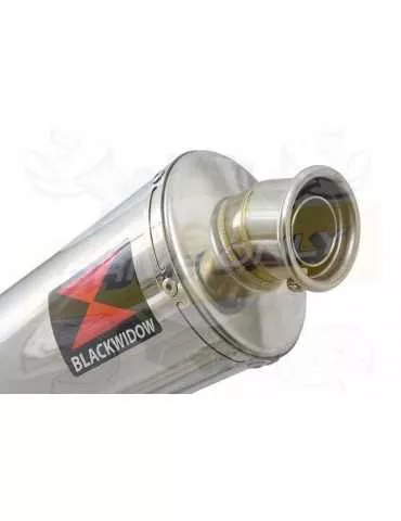 R1150 GS ADVENTURE Décatalyseur exhaust collector & Ovale Silencieux En Inox 300mm