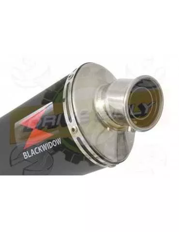 R1150 GS ADVENTURE Décatalyseur exhaust collector & Silencieux Ovale Noir En Inox 300mm