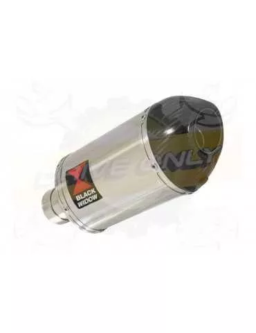 R1150 R ROCKSTER exhaust Silencieux kit & Ovale Silencieux En Inox + carbon tip 200mm