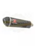 GSF 1250 GSF1250 Bandit 2007-2016 Water Cooled Tube de raccord et Silencieux Ovale En Carbone 400mm