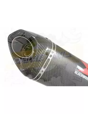 FMT-09 Tracer 2013-2021  Passage Bas Décatalyseur Ligne complètes + Tri Silencieux Ovale En Carbone + Carbon Tip 250mm