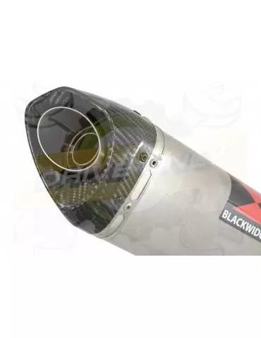 MT-09 Tracer 2013-2021  Passage Bas Décatalyseur Ligne complètes + Tri Ovale Stainless Silencieux Carbon Tip 250mm