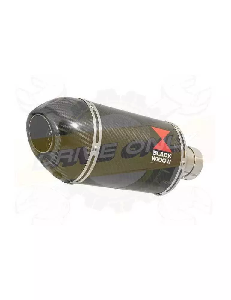 Vespa GTS 300 ie Super 2008 - 2016 Ligne complète & Silencieux Ovale En Carbone 200mm