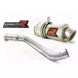 Silencieux sport Dominator : R1100RT 1996 - 2001