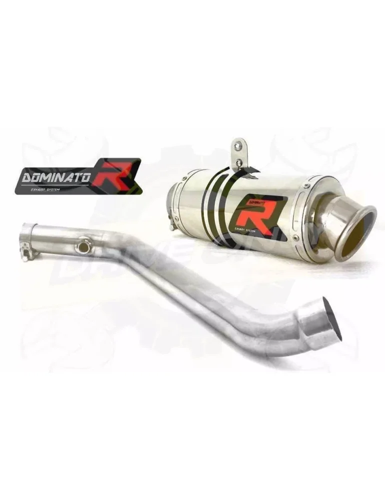 Silencieux sport Dominator : R1100RT 1996 - 2001