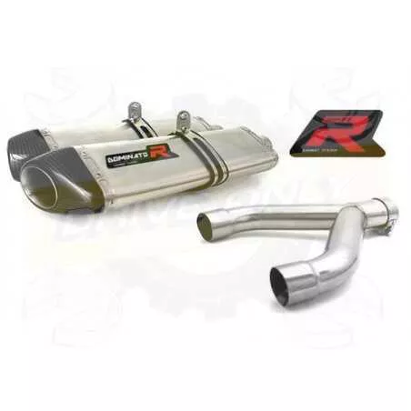 Silencieux sport Dominator : Dorsoduro 750 2008 - 2017