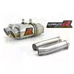 Silencieux sport Dominator : RSV 1000 Standard / R / Factory 2004 - 2009