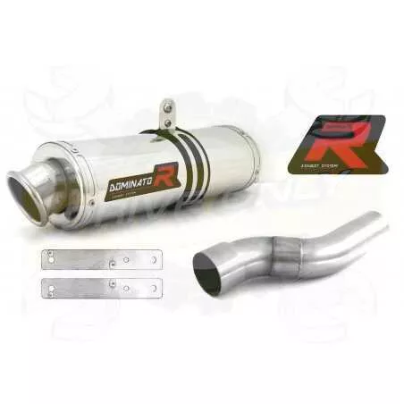 Silencieux sport Dominator : Daytona 675 / R 2012 - 201x