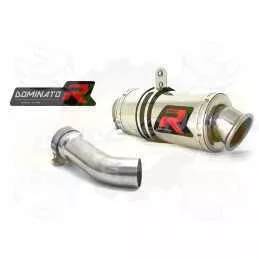 Silencieux sport Dominator : R 1200 R 2010 - 2014