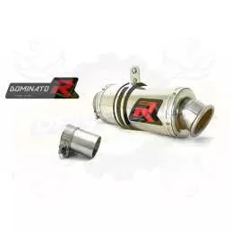 Silencieux sport Dominator : R 850 R 2004 - 2007