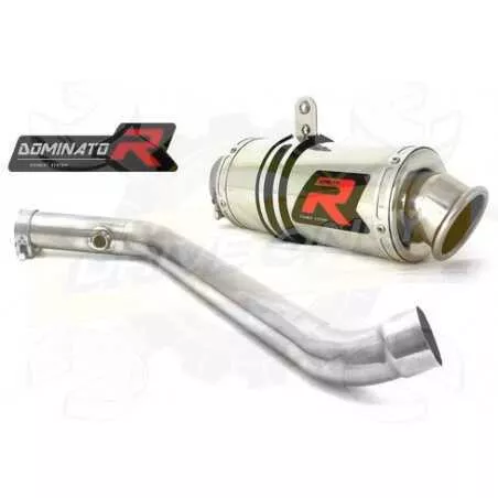 Silencieux sport Dominator : R 1100 R 1994 - 2000