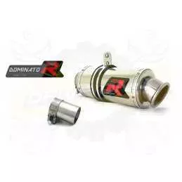 Silencieux sport Dominator : R 1150 GS 1999 - 2003