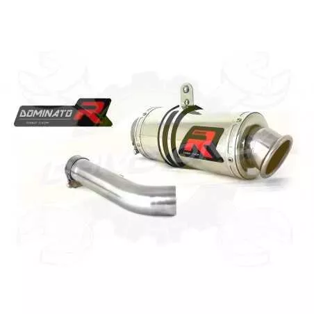 Silencieux sport Dominator : R 1200 R 2006 - 2009
