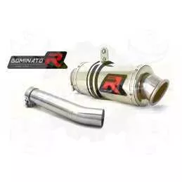 Silencieux sport Dominator : F 650 GS 2000 - 2007