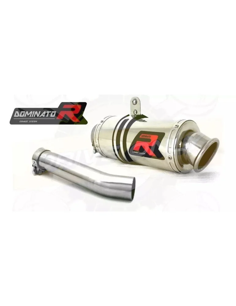 Silencieux sport Dominator : F 700 GS 2012 - 2013