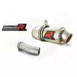 Silencieux sport Dominator : F 800 R 2009 - 2012