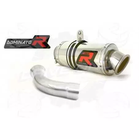 Silencieux sport Dominator : F 800 S 2006 - 2012
