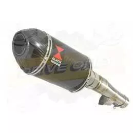 Honda NC 700 S (RC61) 2012-2014 Kit Silencieux: Silencieux Ovale Carbone 200mm + Carbone Tip