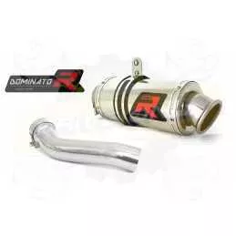 Silencieux sport Dominator : R 1200 GS / Adventure 2010 - 2012