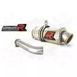 Silencieux sport Dominator : R 1200 RT 2004 - 2009