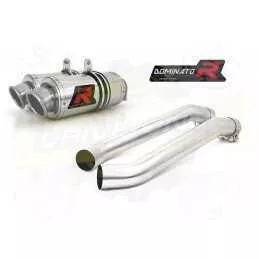 Silencieux sport Dominator : V Raptor 1000 2000 - 2003