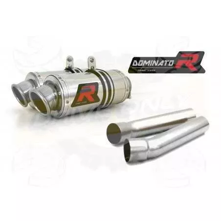 Silencieux sport Dominator : Monster / Mostro M 1000 2003 - 2005