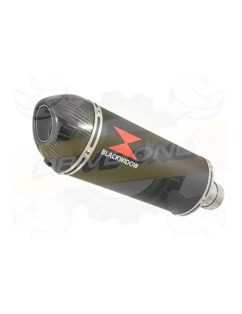 R6 YZF600 2017 2018 (RJ27) Race Decata Ligne complète + Silencieux Ovale Noir en Inox + Canule en Carbone 300mm