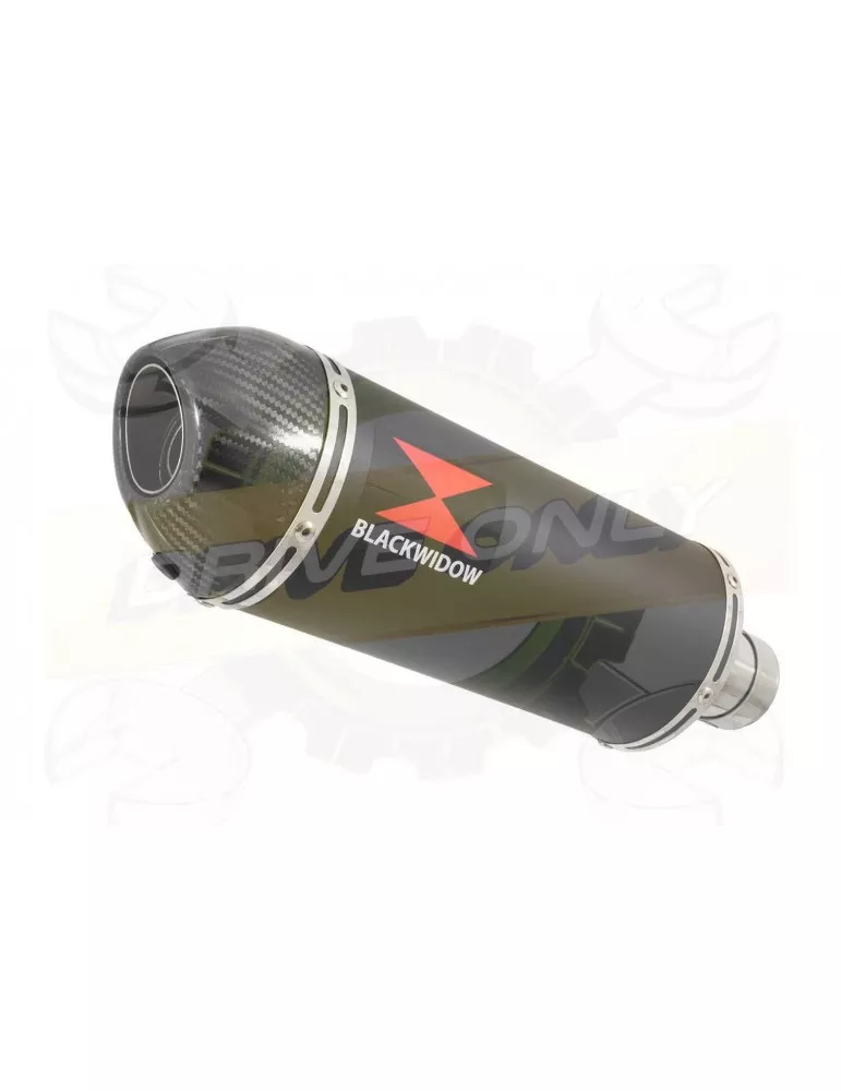 R6 YZF600 2017 2018 (RJ27) Race Decata Ligne complète + Silencieux Ovale Noir en Inox + Canule en Carbone 300mm