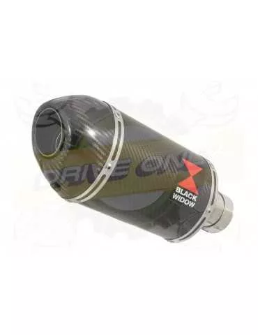 R6 YZF600 2017 2018 (RJ27) Race De Cat Ligne complètes + Ovale En Carbone Silencieux 200mm