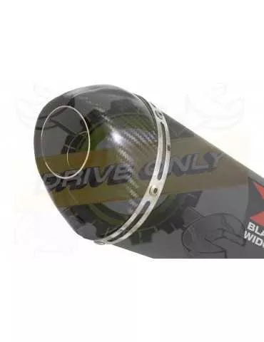 R6 YZF600 2017-2018 (RJ27) Silencieux kit + Silencieux Ovale Noir en Inox + Canule en Carbone 200mm
