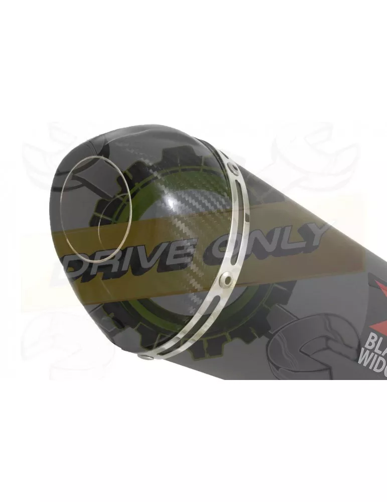 GSX1200 INAZUMA Ligne complète & Silencieux Ovale Noir En Inox + Canule En Carbone 200mm
