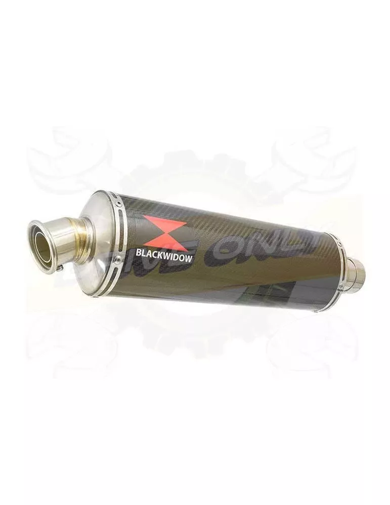 GSX1250FA GSX 1250 2010-2016 Refroidissement à Eau / Decata Ligne complète + Silencieux Ovale En Carbone 400mm