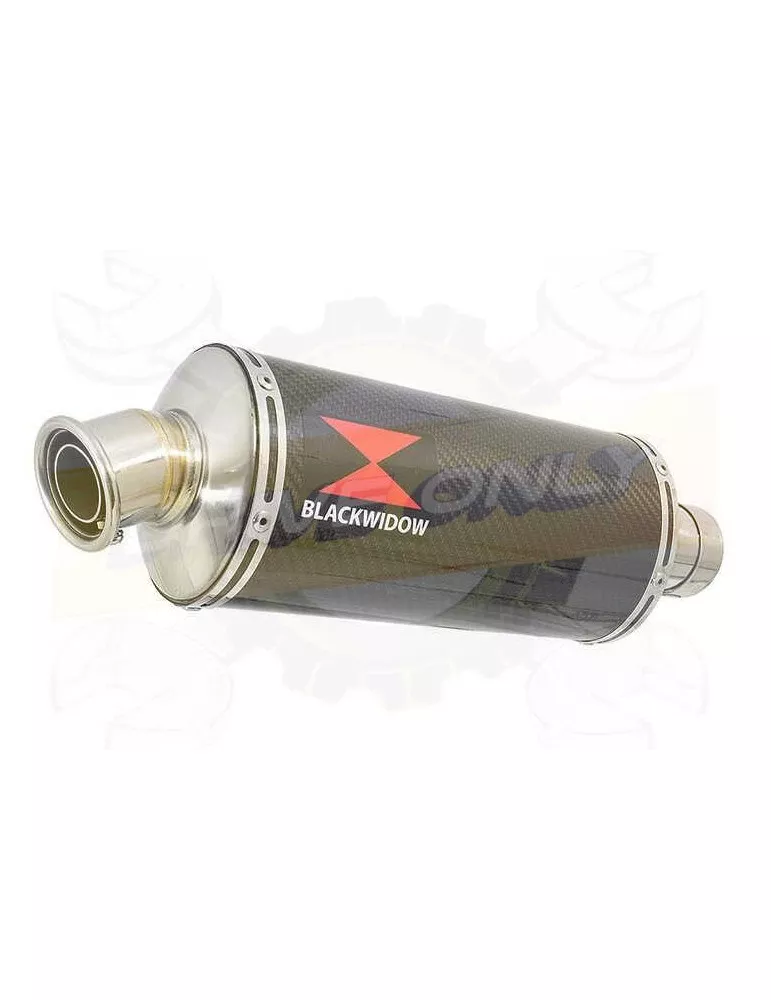 GSX1250FA GSX 1250 2010-2016 Refroidissement à Eau / Decata Ligne complète + Silencieux Ovale En Carbone 300mm