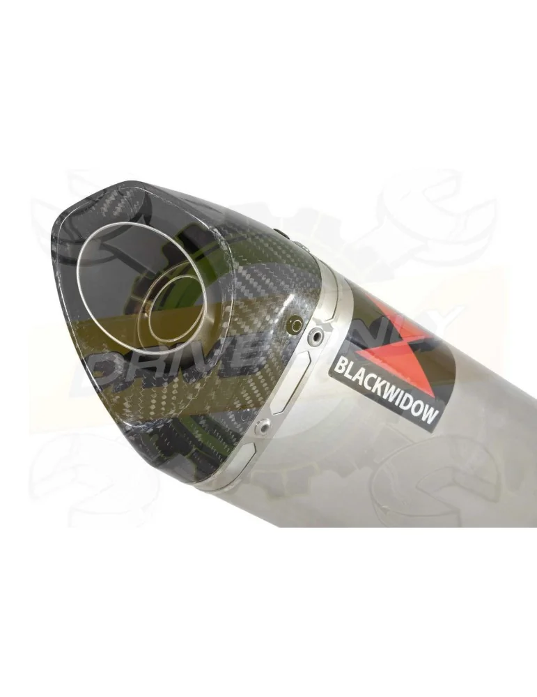 GSX1200 Inazuma Tube de raccord et Silencieux Tri Ovale En Inox & Canule en Carbone 250mm