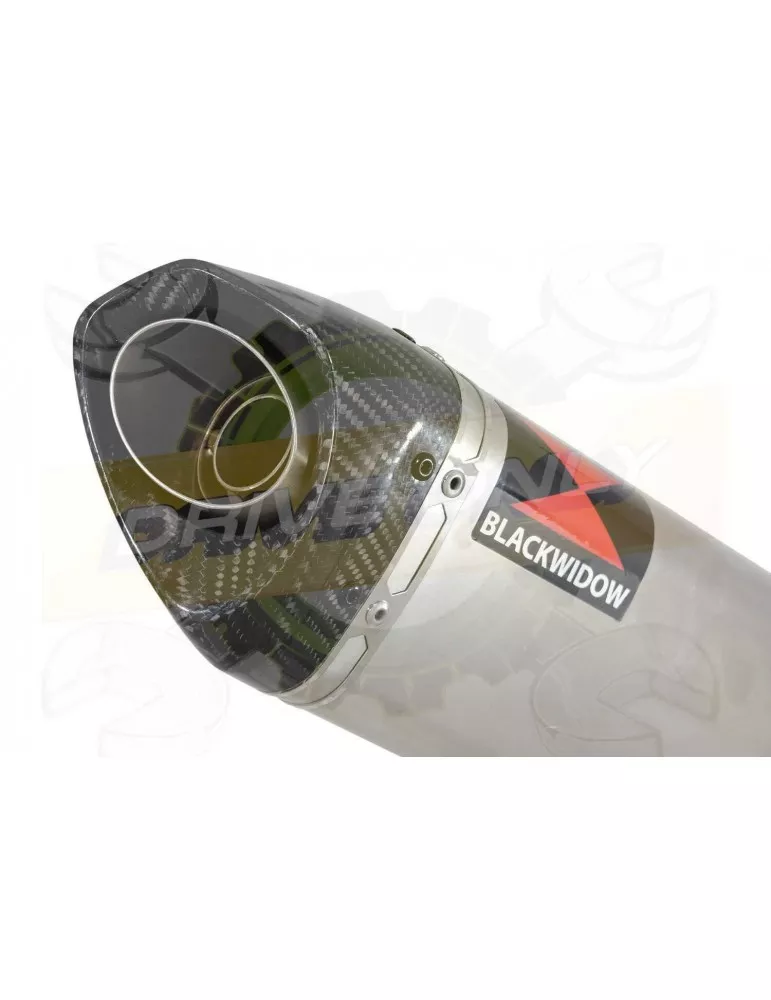 GSX1200 Inazuma Tube de raccord et Silencieux Tri Ovale En Inox & Canule en Carbone 250mm