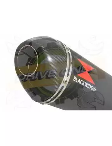 GSX750 Inazuma Ligne complète & Silencieux Ovale Noir en Inox + Canule en Carbone 400mm