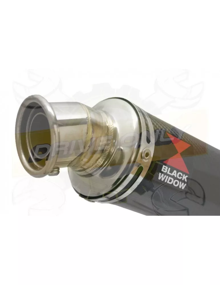 GSX 750 Inazuma Ligne complète & Silencieux Rond En Carbone 350mm