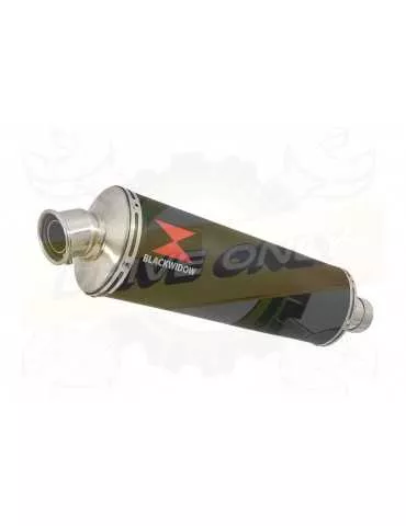 GSF 1200 GSF1200 Bandit 1995-2004 Tube de raccord et Silencieux Ovale Noir En Inox 400mm