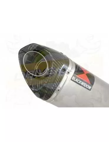 XR125 XR125L 2003-2010 Ligne complète & Silencieux Tri-Oval En Inox + Carbone 250mm
