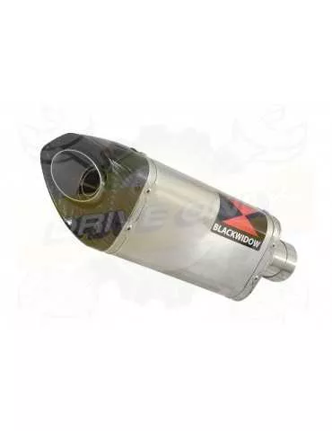 HYOSUNG GT125R GT125 COMET Ligne complète & Silencieux Tri Ovale en Inox + Carbone 250mm