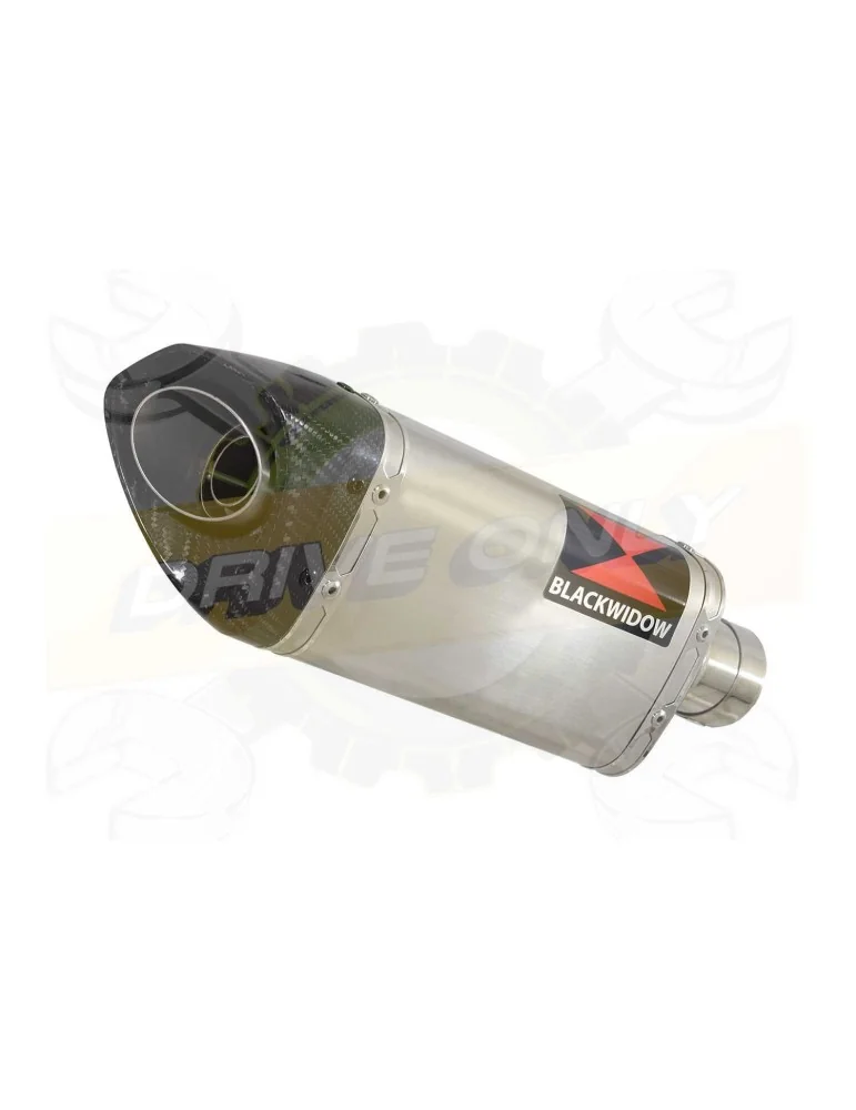 HYOSUNG GT125R GT125 COMET Ligne complète & Silencieux Tri Ovale en Inox + Carbone 250mm