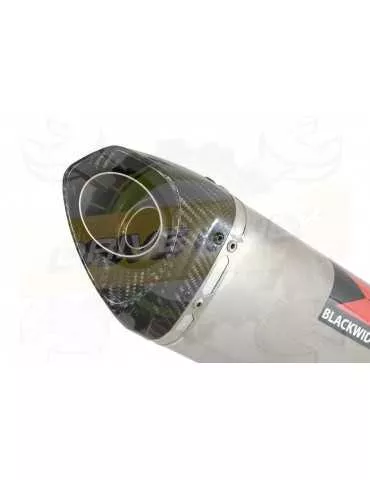 HYOSUNG GT125R GT125 COMET Ligne complète & Silencieux Tri Ovale en Inox + Carbone 250mm