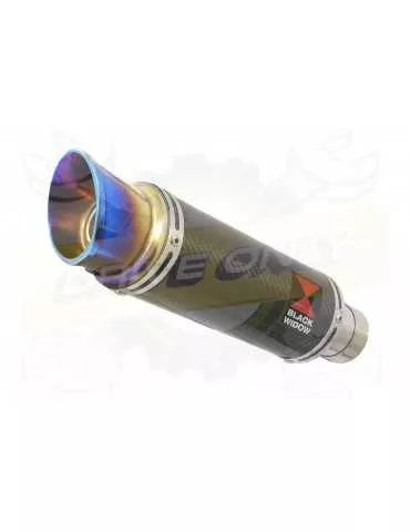 HYOSUNG GT125R GT125 COMET Ligne complète & Silencieux GP Rond Carbone + canule Anodisé 230mm