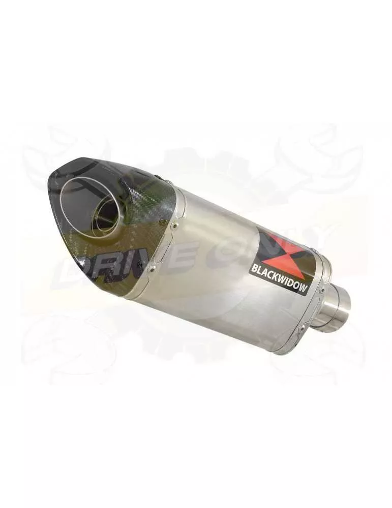 HYOSUNG GT250R GT250 COMET Ligne complète & Silencieux Tri Ovale en Inox + Carbone 250mm