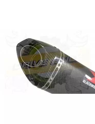 HYOSUNG GT250R GT250 COMET Ligne complète & Silencieux Tri Ovale En Carbone + Carbone 250mm