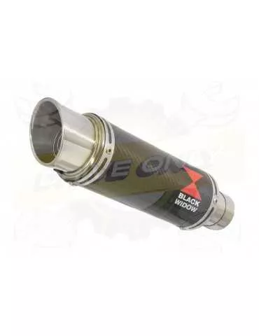 HYOSUNG GT250R GT250 COMET Ligne complète & Silencieux GP Rond En Carbone 230mm